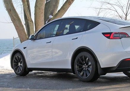 Tesla Model Y - Tesloid Mud flaps